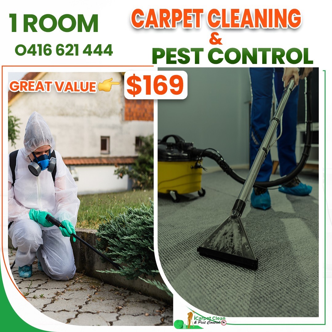 Carpet Cleaning