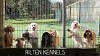 Dog Kennels