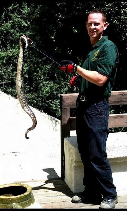 Rattlesnake Removal