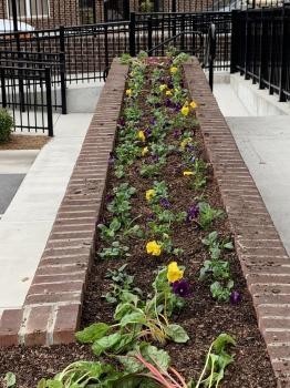 Complete Grounds Commercial Landscaping