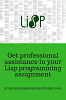 Lisp programming homework help