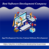 Software Development Services in Bihar | Web application Development