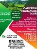 Captivate Nature's Wonder in Cameron Highlands Tour