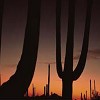 Scottsdale Condos For Sale