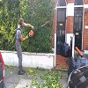Garden mainenance