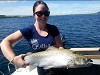 trout fishing lake taupo