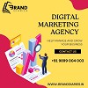 Transform Your Business with Brand Diaries Marketing Services in Gurgaon