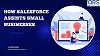 How Salesforce Assists Small Businesses