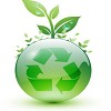 Looking for a Green Cleaning Solution?