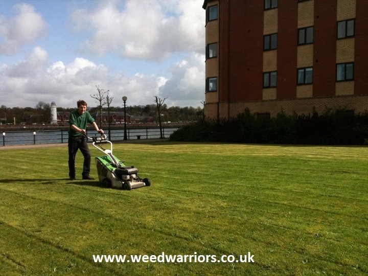 Lawn Mowing and Grass Cutting in Warrington