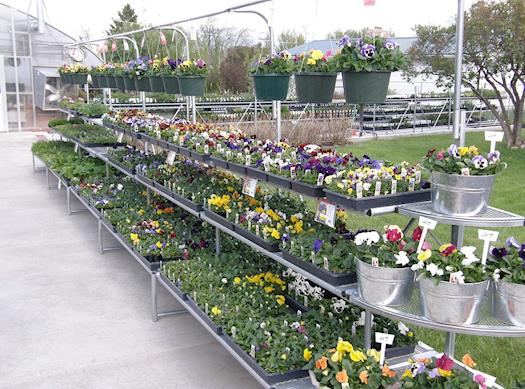 Display Racks