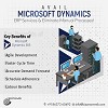 Microsoft Dynamics ERP Services