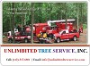 Tree Removal Maryland - Professional, Expert, Tree Removal Company 