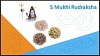 5 Mukhi Rudraksha to overcome fear, reduce stress and nervousness