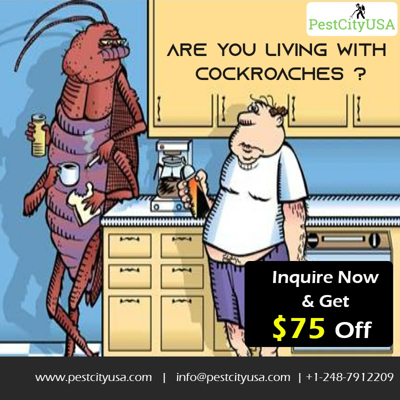 Are you living with cockroaches 