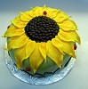 Cake Delivery in Local areas of Delhi 