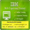 Web Experience Factory Real-Time Online Training Services