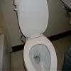 toilet installations repairs emergency service drains clogs leaks