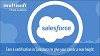 Sales force Admin+Developer (Combo) training