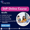 SAP Online Course 
