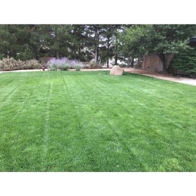 Tailored Lawn Care, LLC
