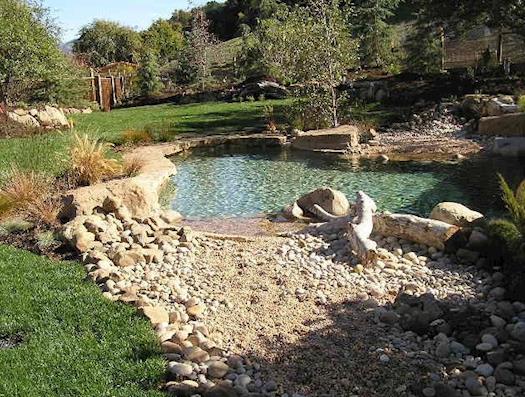 Pool and Garden Design