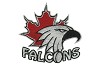 Chest-Placement-Falcons-Logo-Digitizing - DigitEMB