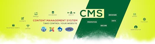 Six Reasons to Add CMS for your Business Website