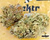 Buy Gorilla Zkittles Hybrid Online - NektrExtracts