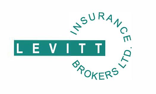 Get Travel Life Insurance Mississauga - Levitt Insurance Brokers Ltd.
