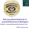 Info you missed about do-it-yourself divorces in Michigan!