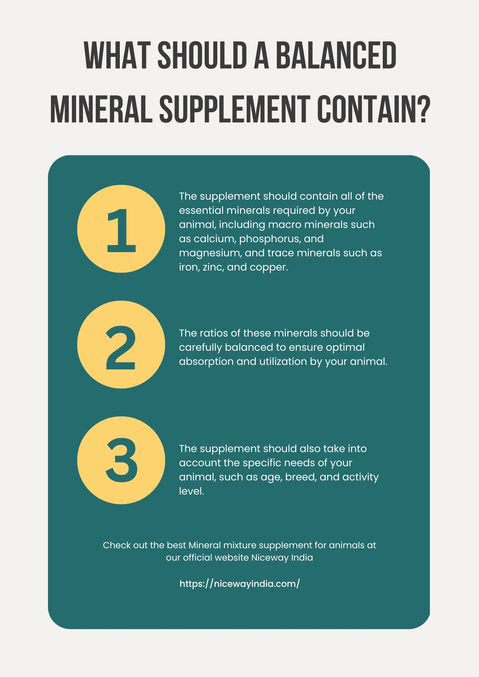 What Should a Balanced Mineral Supplement Contain?