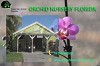 Best Orchid Nursery in Florida-Green Barn Orchid Supplies