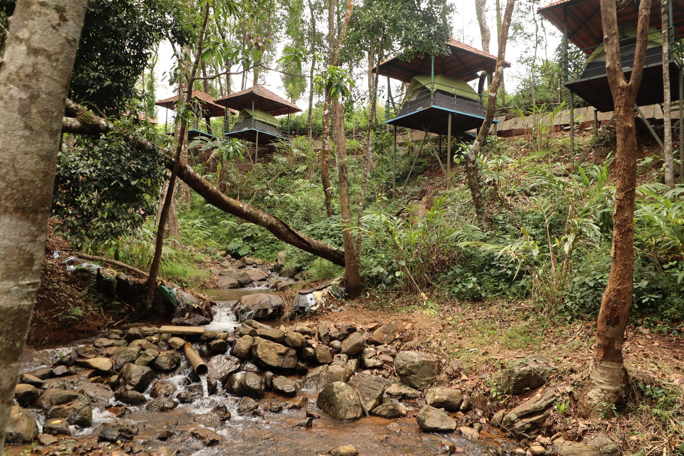 Resorts in Sakleshpur