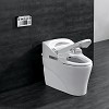 Smart Toilets / Idea of Installing Smart Toilet for your Home