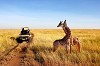 Safaris in Tanzania - Explore the Many Tourist Attractions.