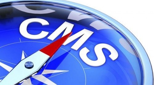 CMS web designing