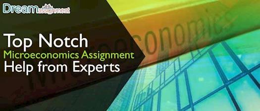 Top Notch Microeconomics Assignment Help from Experts 