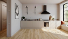 Wide Range Of Laminate Floorings In New Zealand [Buy Now]