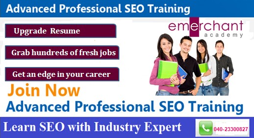 SEO Course Hyderabad