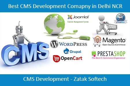 Best CMS Development Comapny in Delhi NCR - Zatak Softech