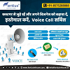 Essential Voice Call Services to Grow Your Business