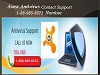 Avast Antivirus Contact 1-888-985-8273 Number