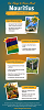 Top Things to Know About Mauritius: A Travel Guide