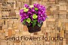 The best collections of flowers to India with desirable collection