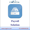 Payroll Solution Software