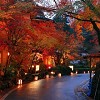 Japan autumn tours