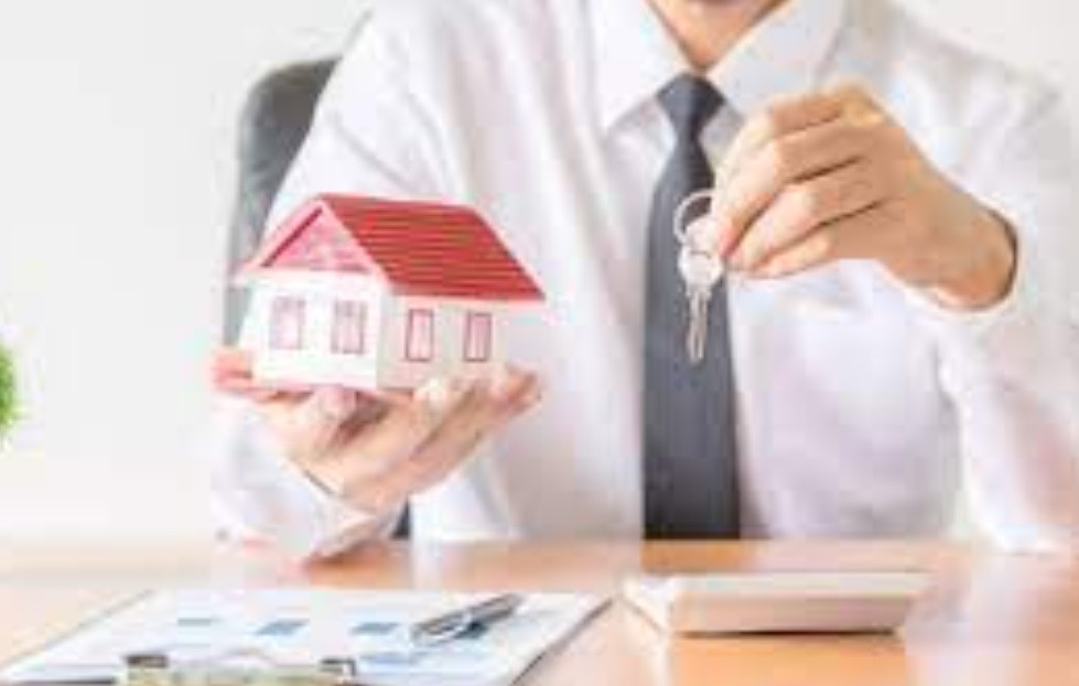 Are you looking for real estate company in Knoxville, TN? 