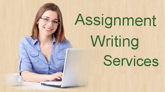 Hire Professional Assignment Writing Services Online