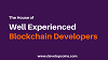 Hire our blockchain developers